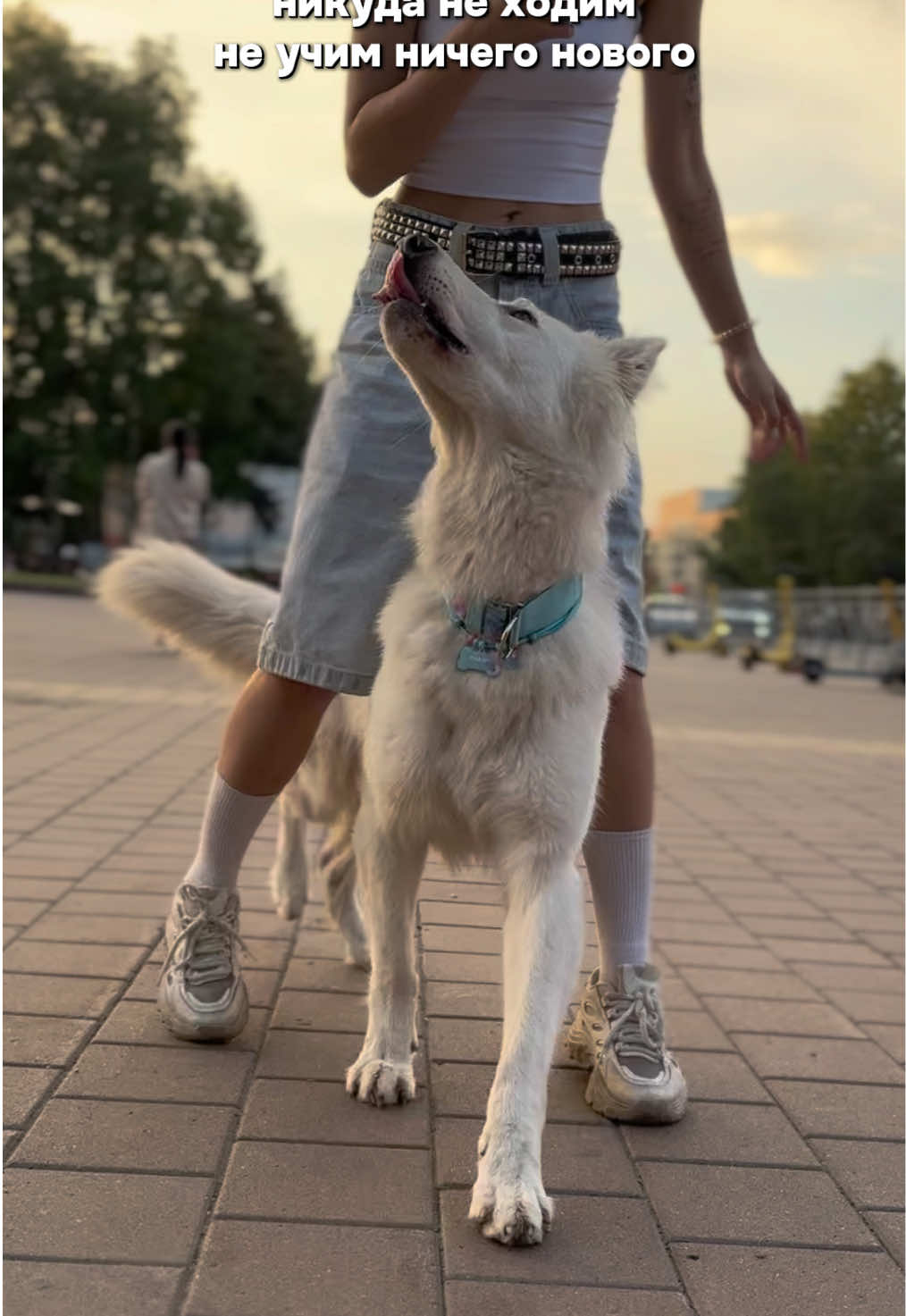 @🎀ASYA🎀 &🐶KADZU🐶