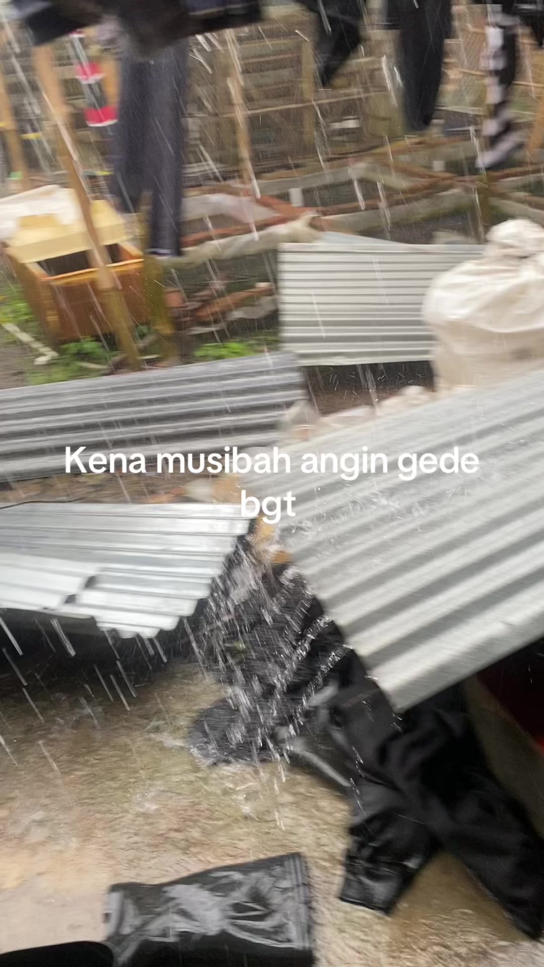 @aman fish