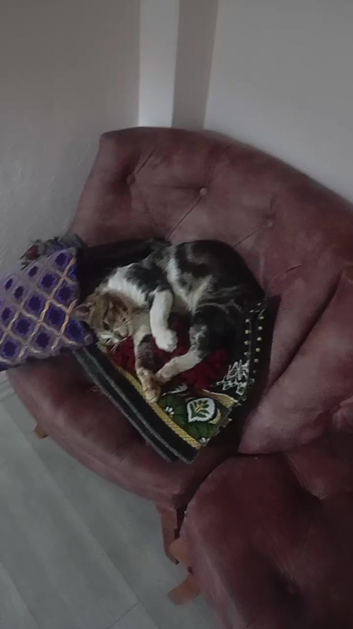 @çamur