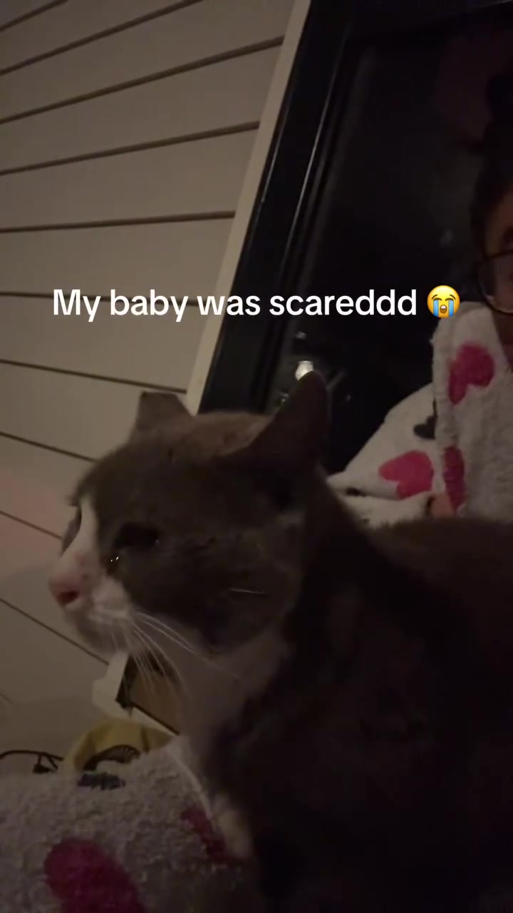 @Southern Beast 🌈