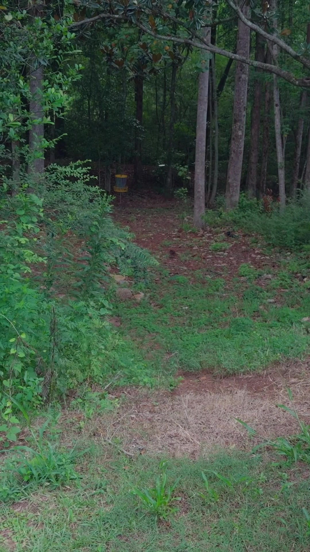 @ursa disc golf