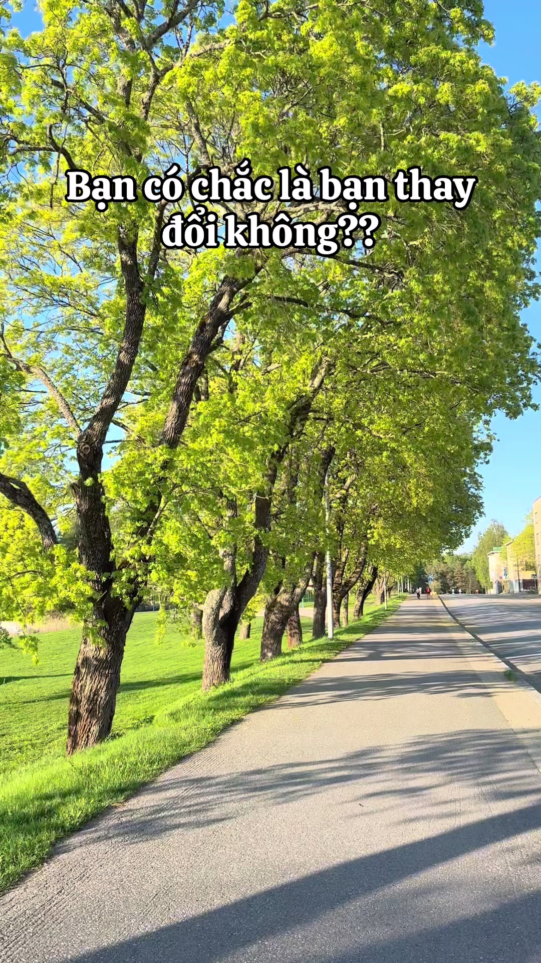 @LiLy Ở Phần Lan🇻🇳🇫🇮
