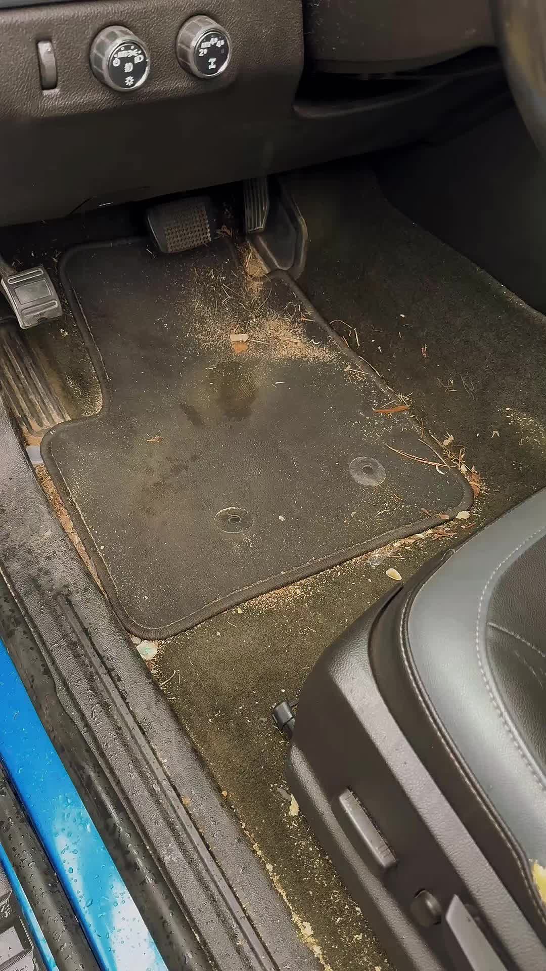 @FoamFreakz Auto Detailing
