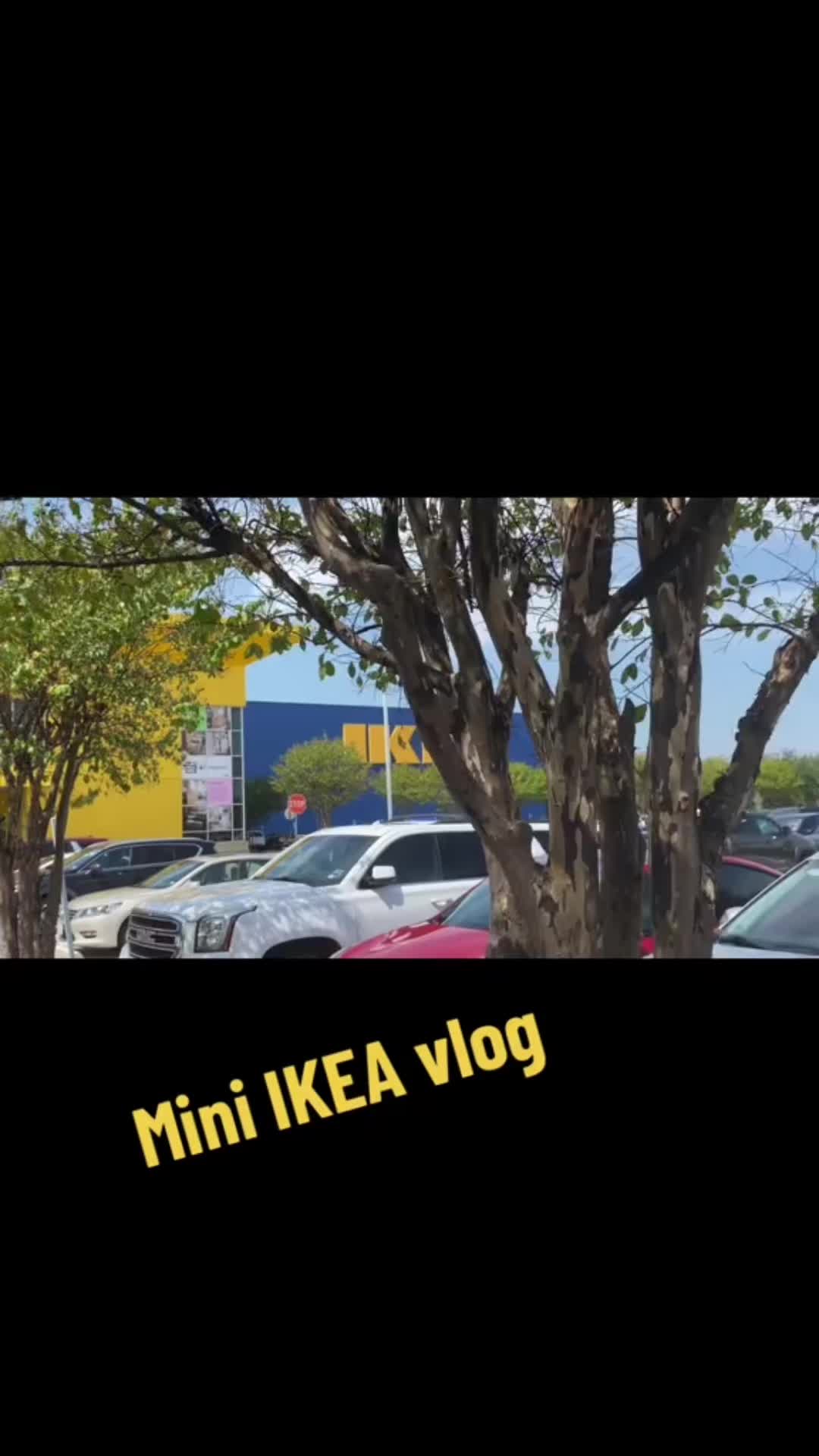 @Shayla