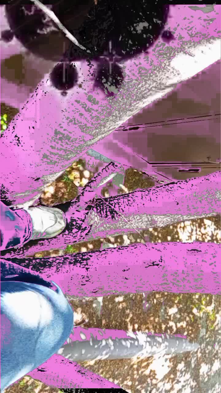@🎧²²⁴²