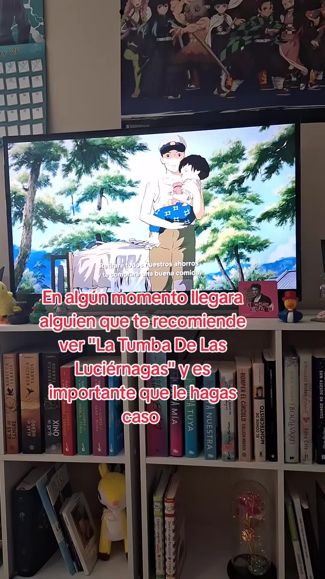 @Mirez 🇲🇽