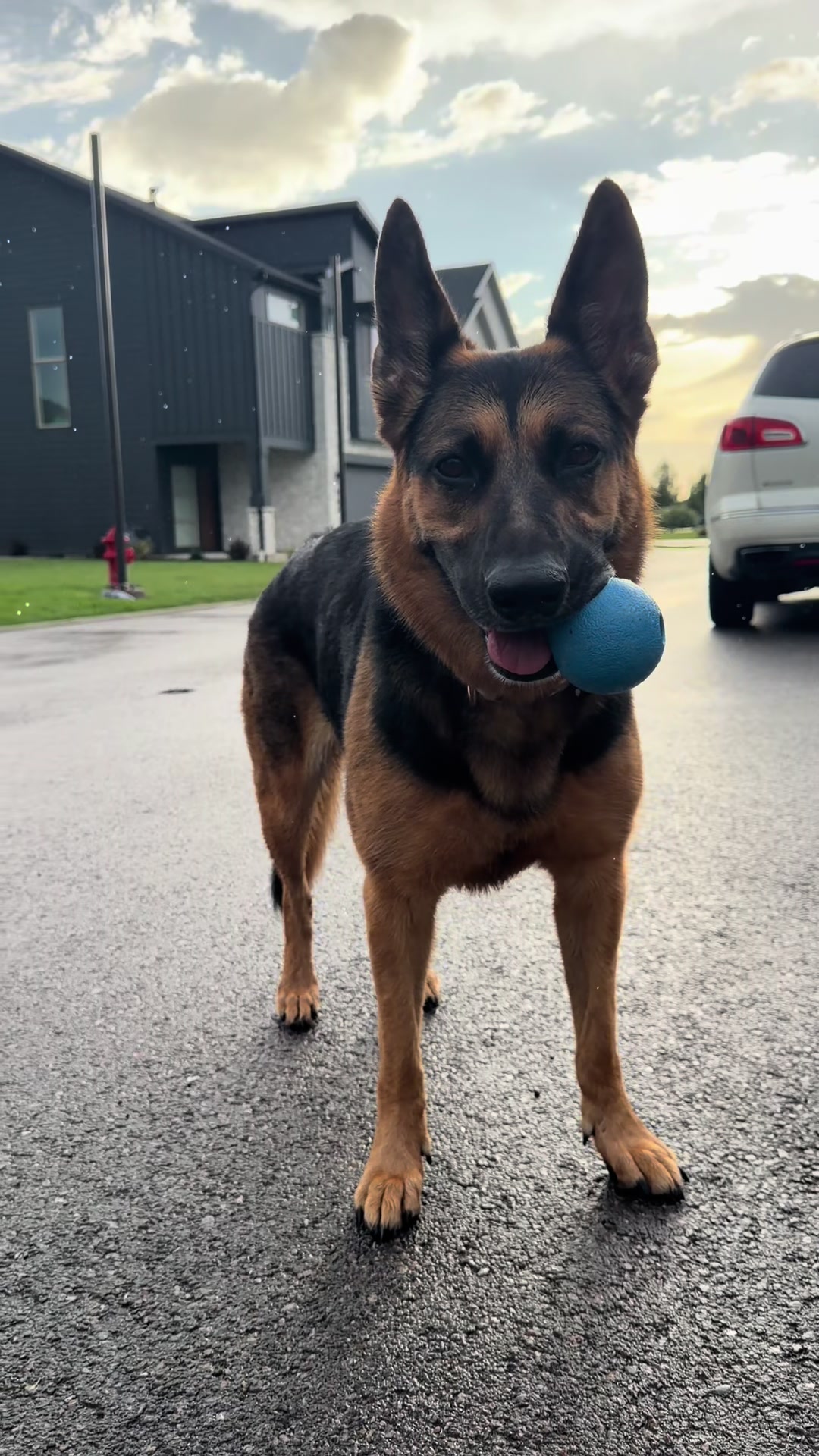 @Rory The Not-Working GSD
