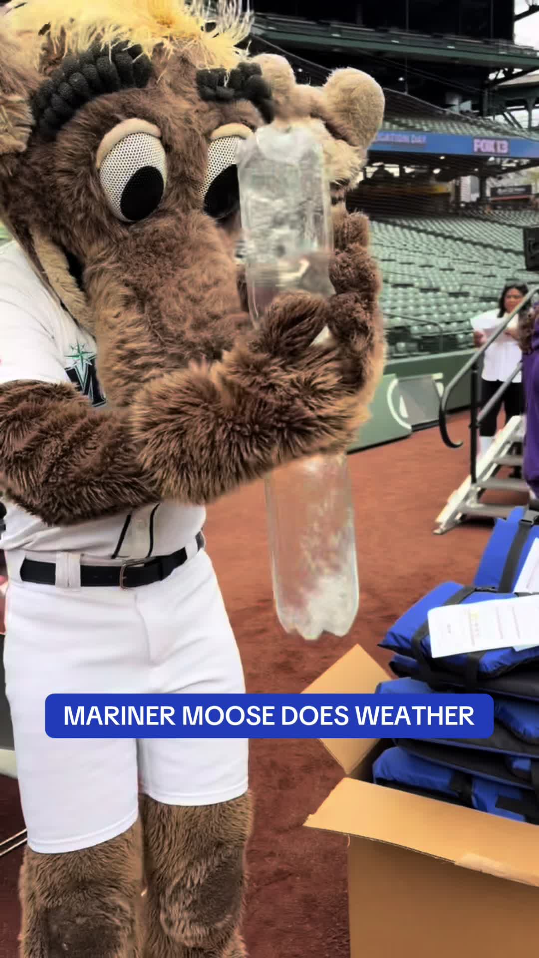 @FOX 13 Seattle