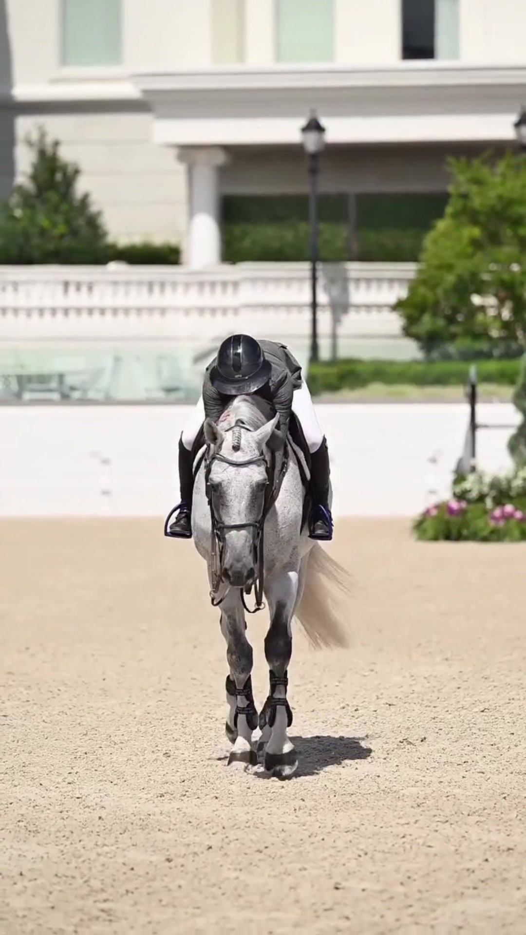 @Free Ride Equestrian