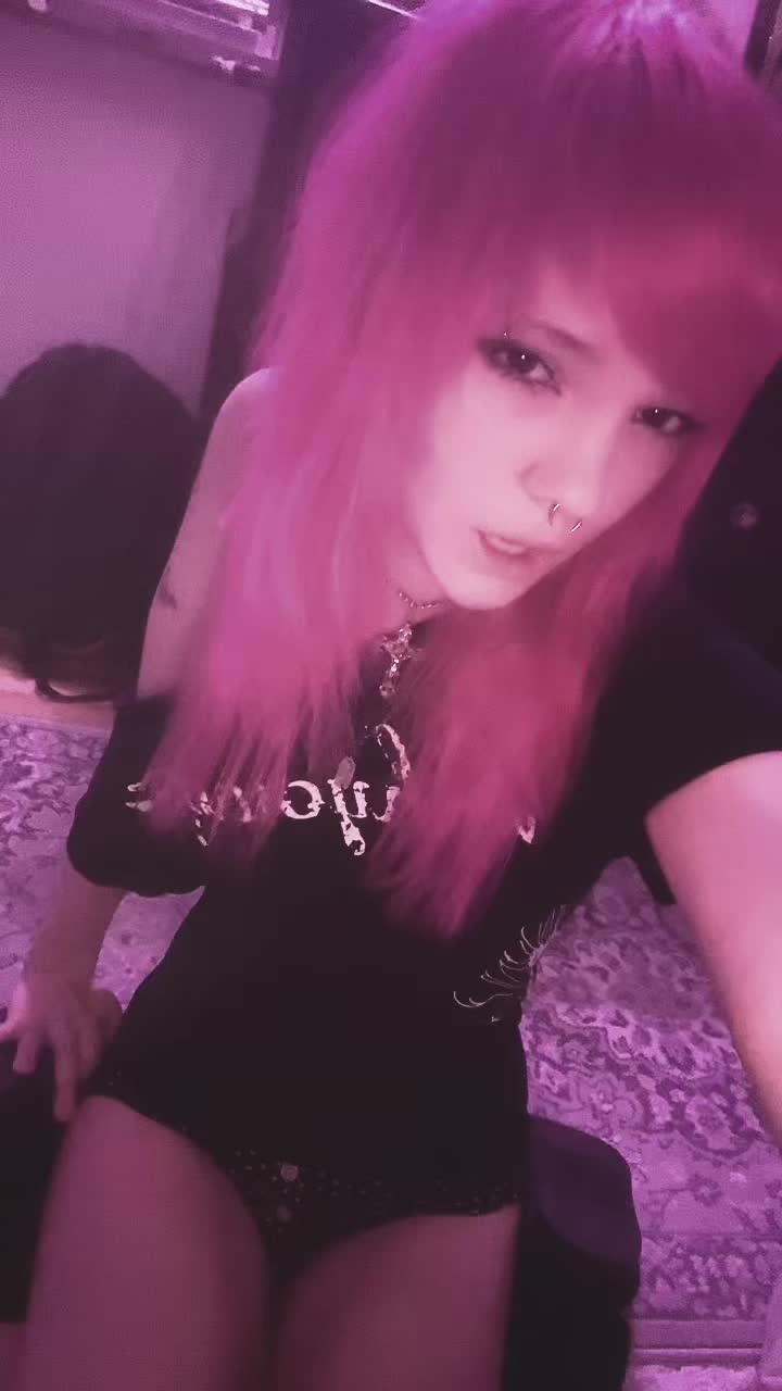 @organsaint