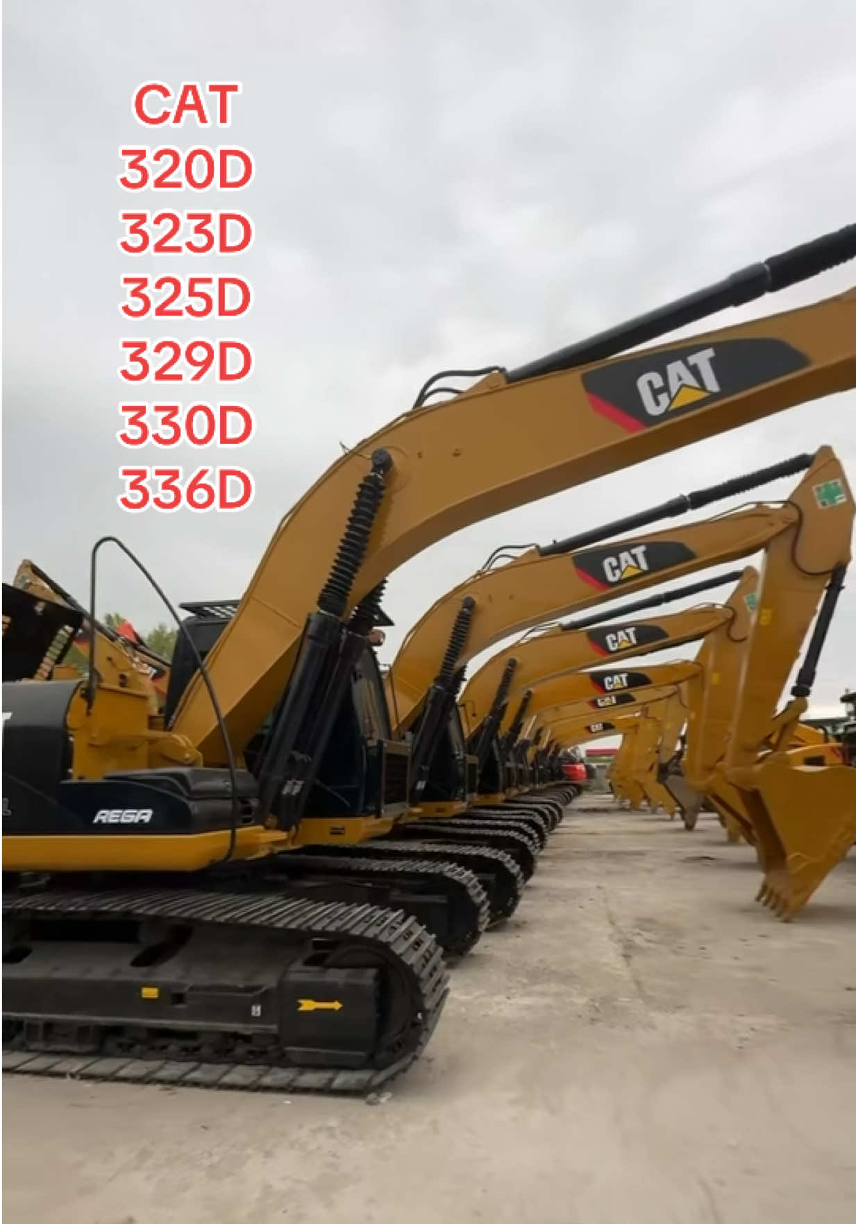 @Lynn-Excavator
