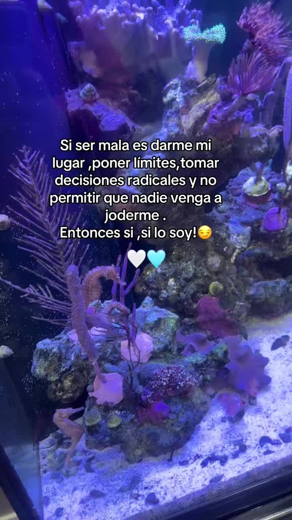 @𝑨𝒅𝒓𝒊
