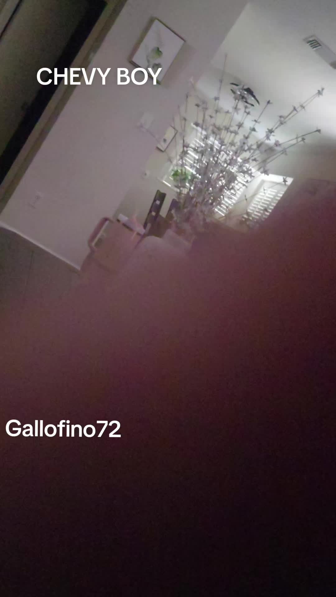 @ElGalloFino