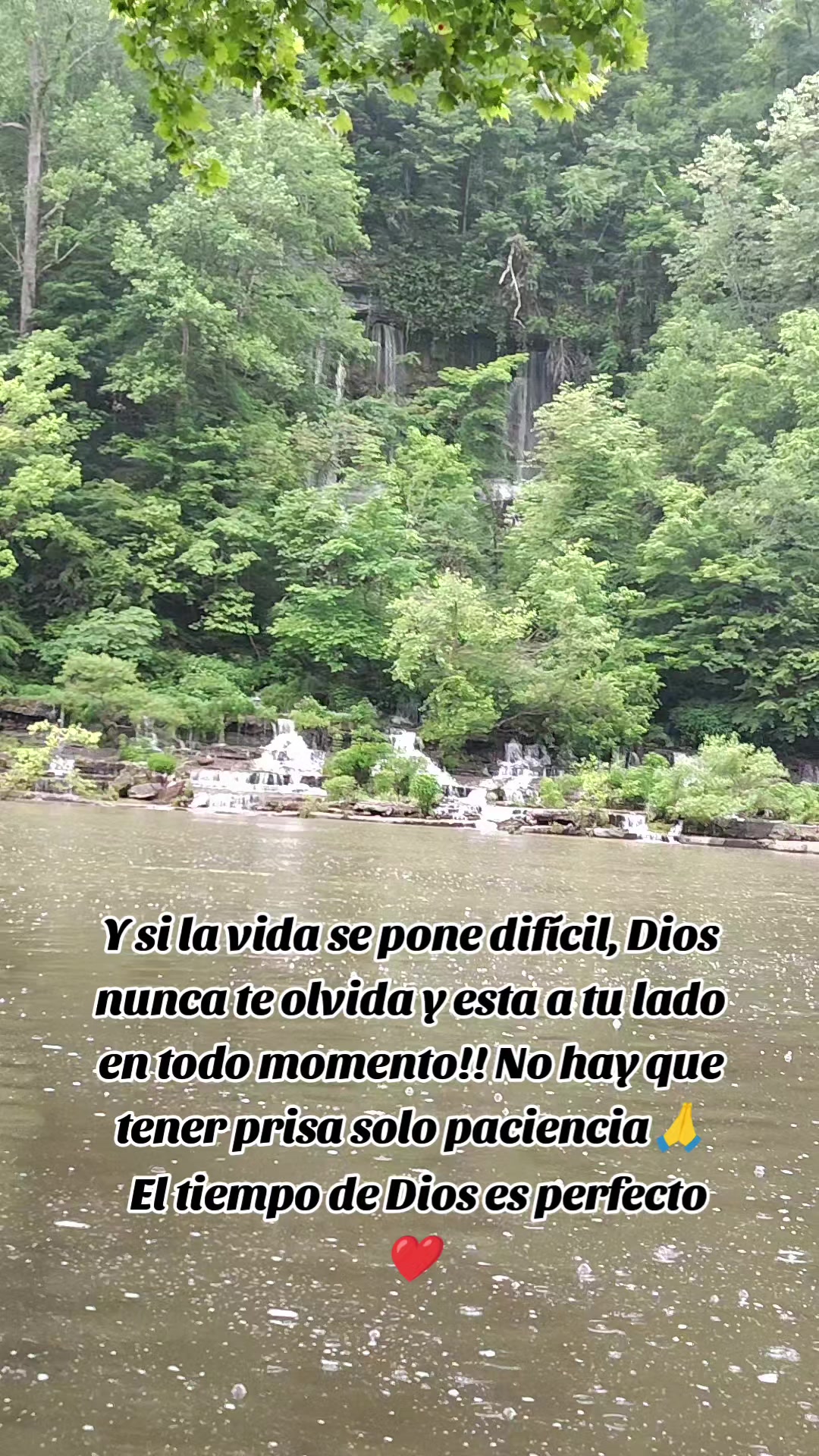@️Stefany Silva