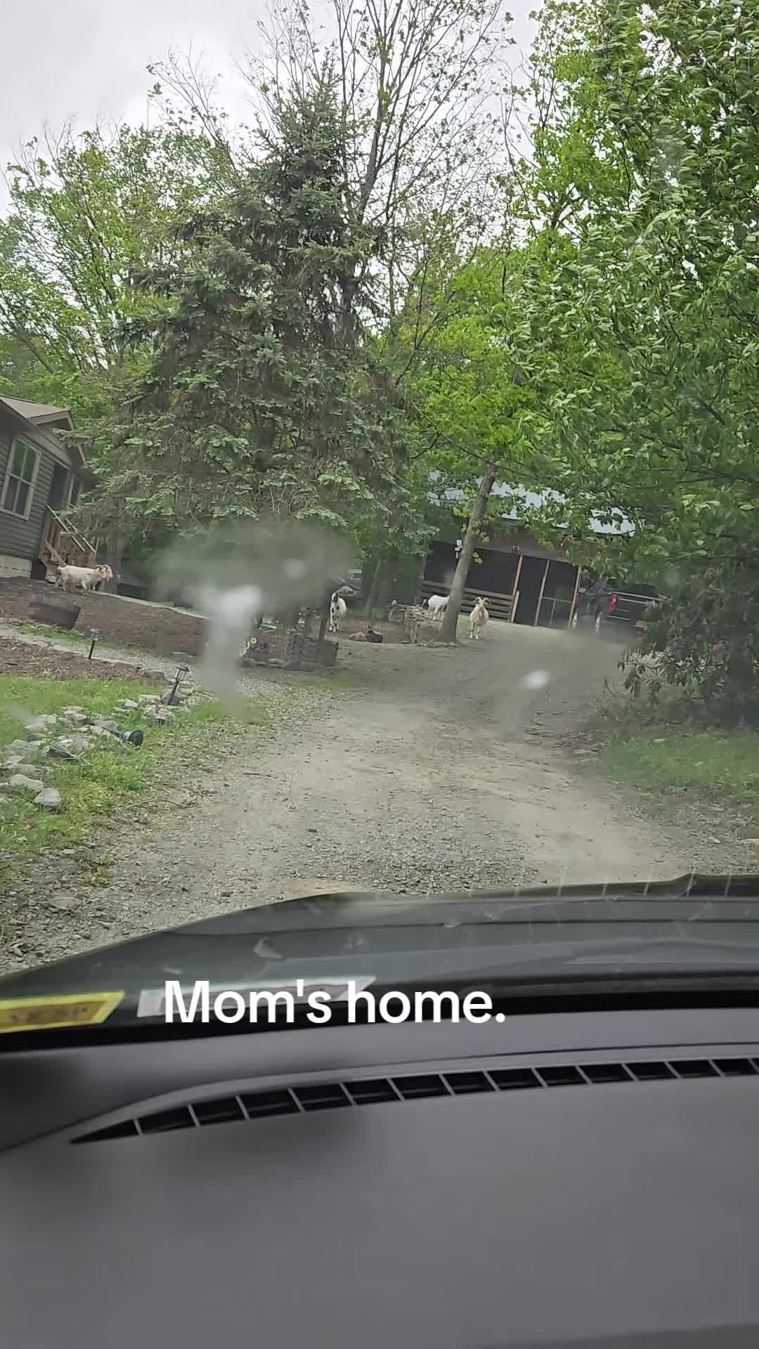 @ROXANNE Miller