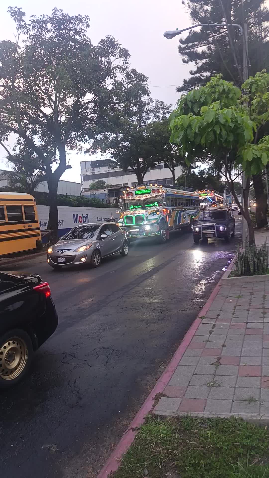 @Busesguatemala oficial ๐๐ฌ๐น