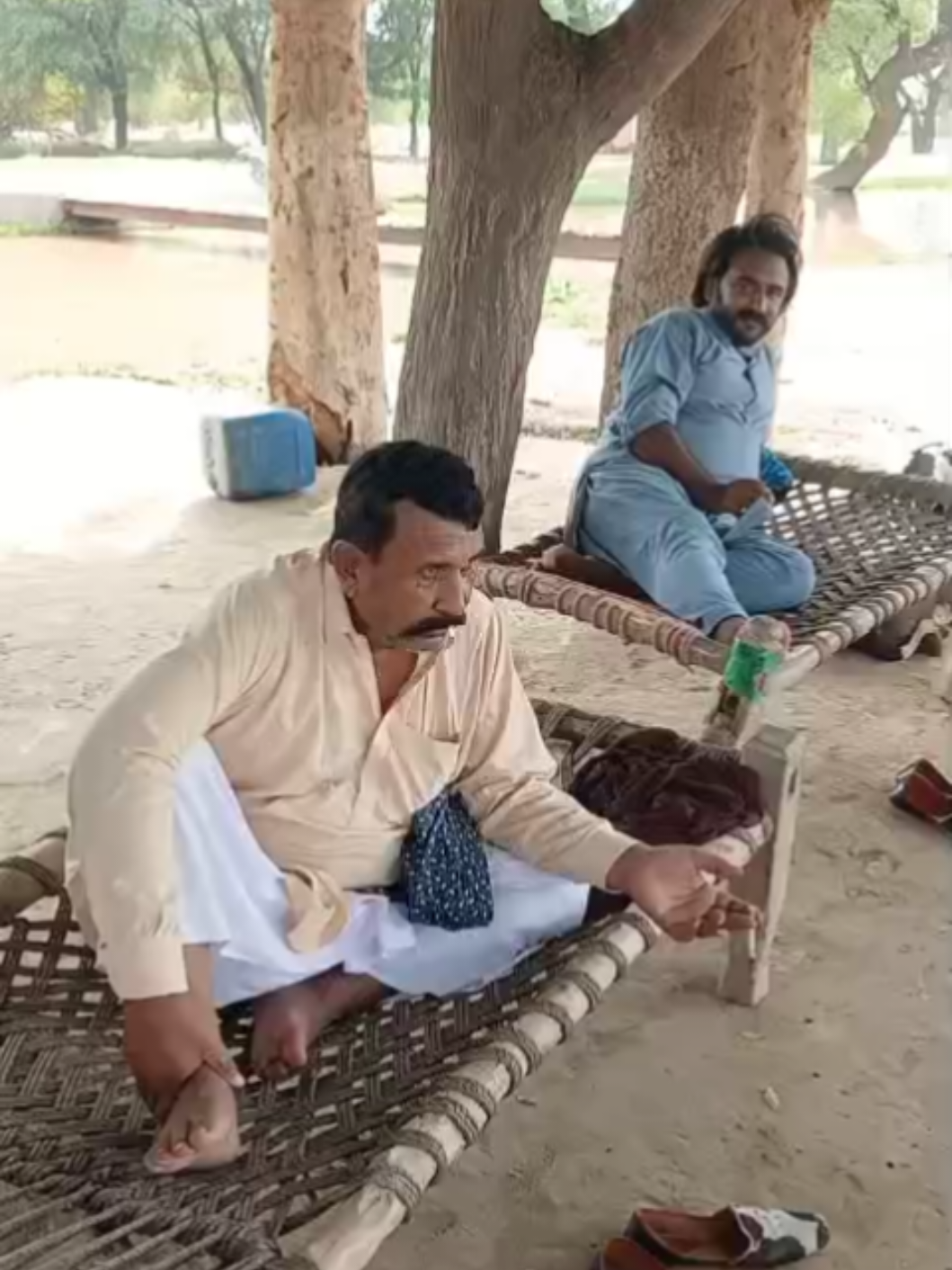@Babu Pathan Goat Farm