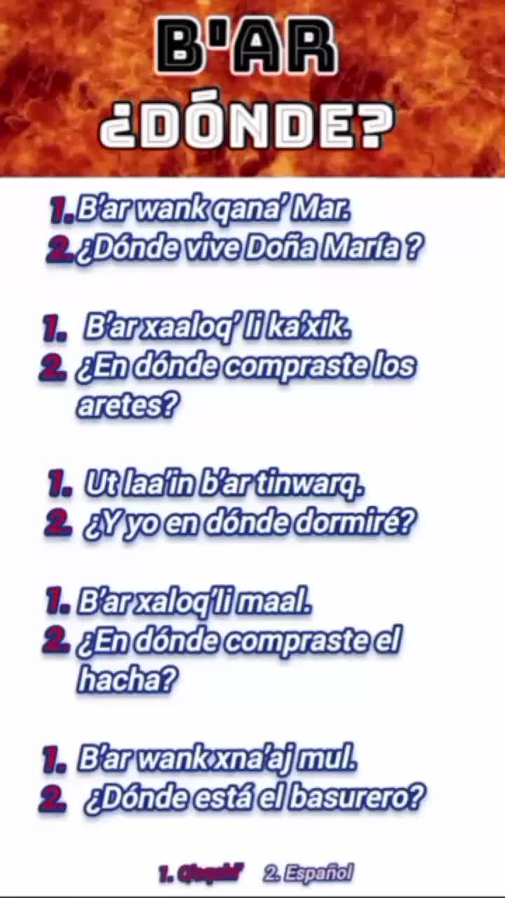 @Anibal🇬🇹