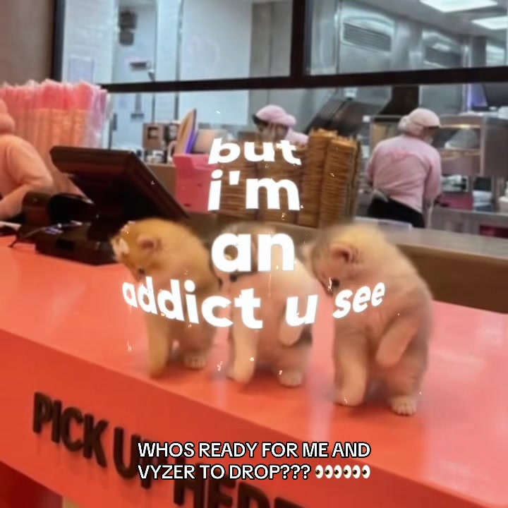 @Clover!