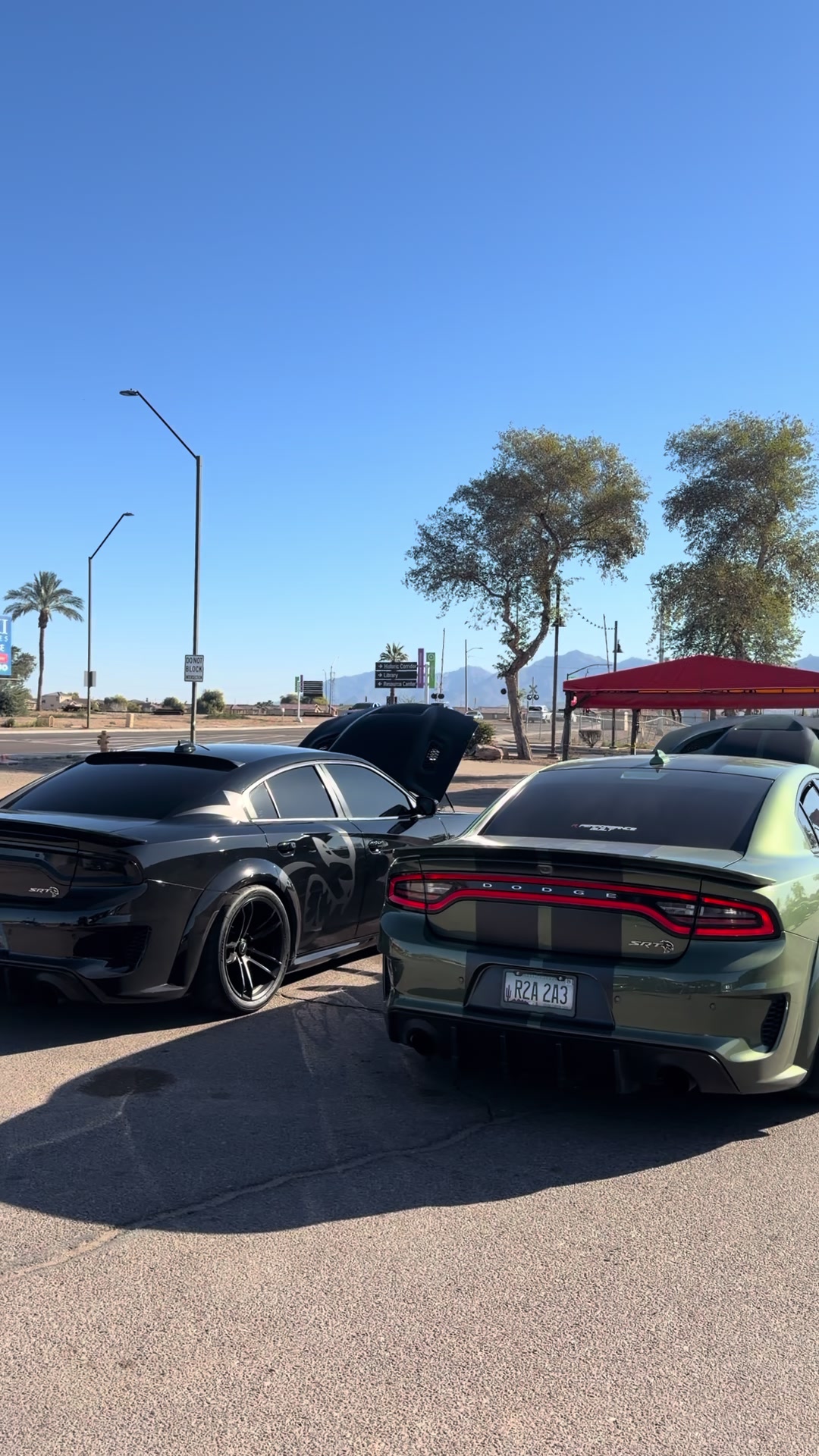 @srttmitch