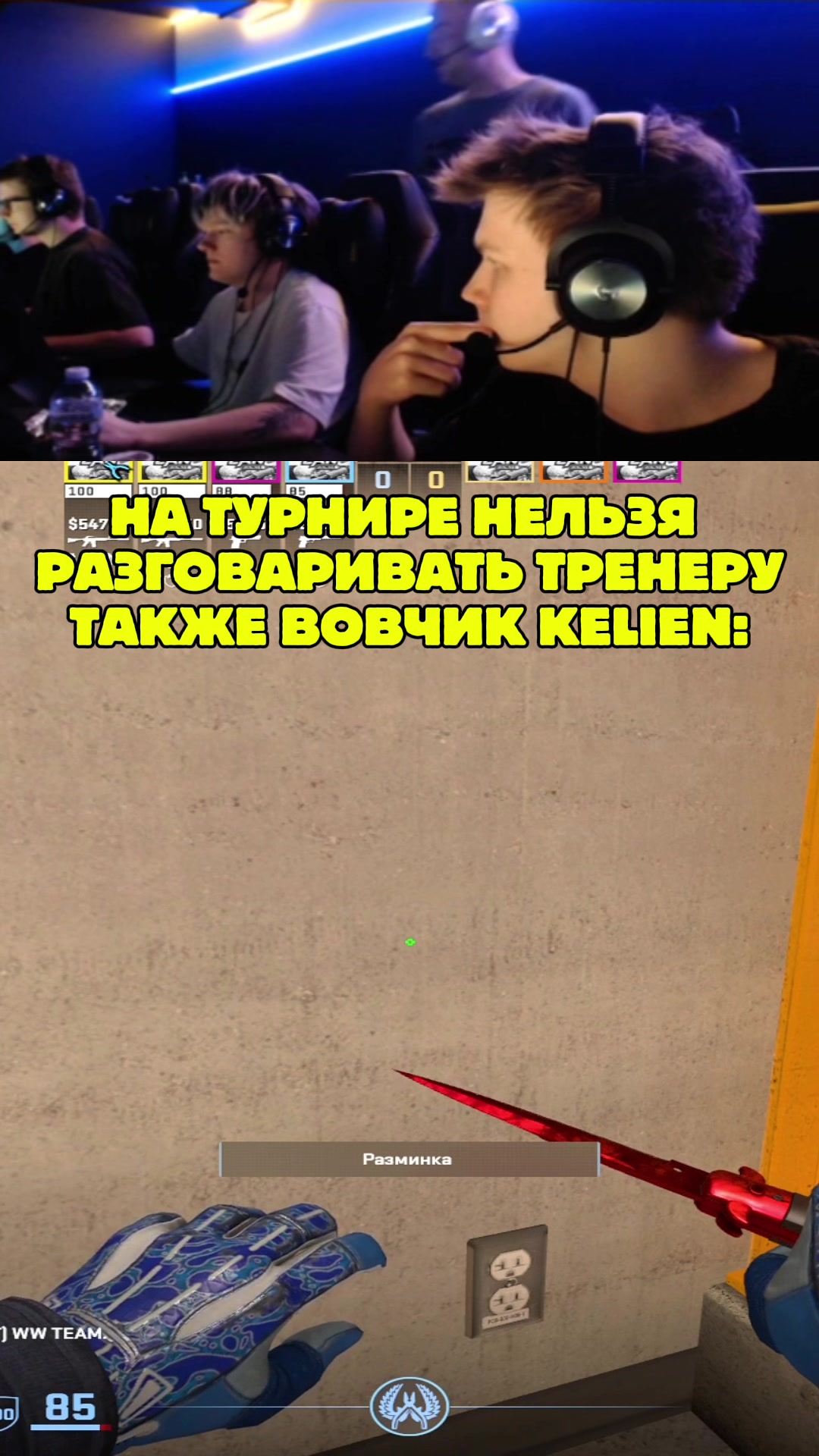 @ЧаХлео Твич