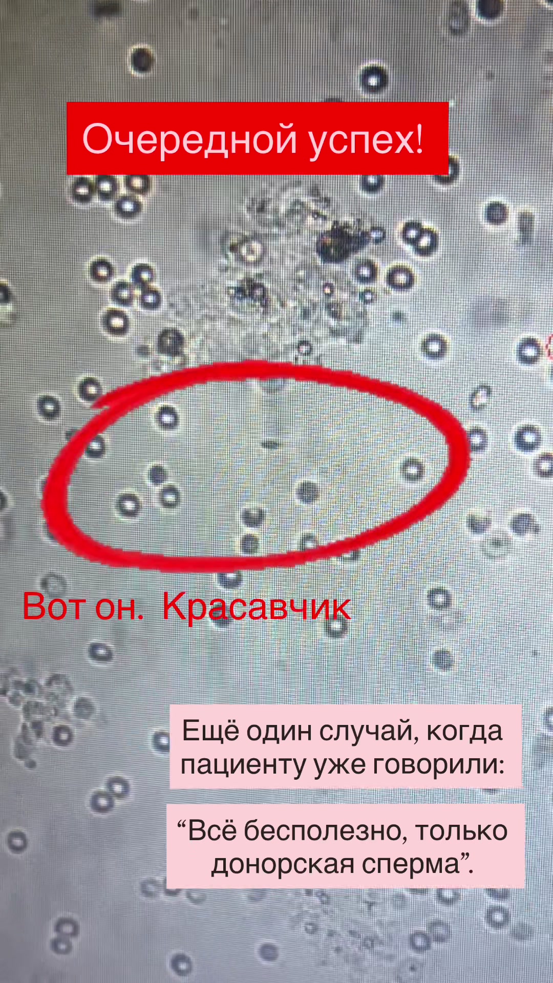 @Андролог  Андрей Лычагин