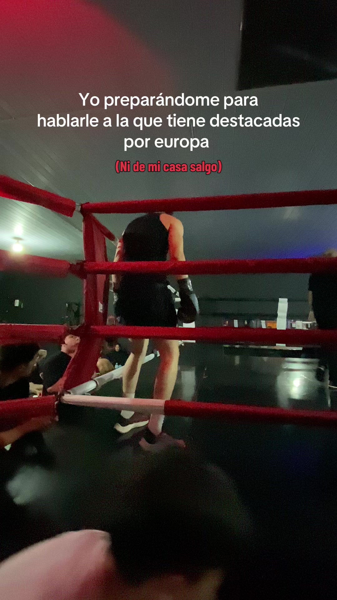 @coco.arrua