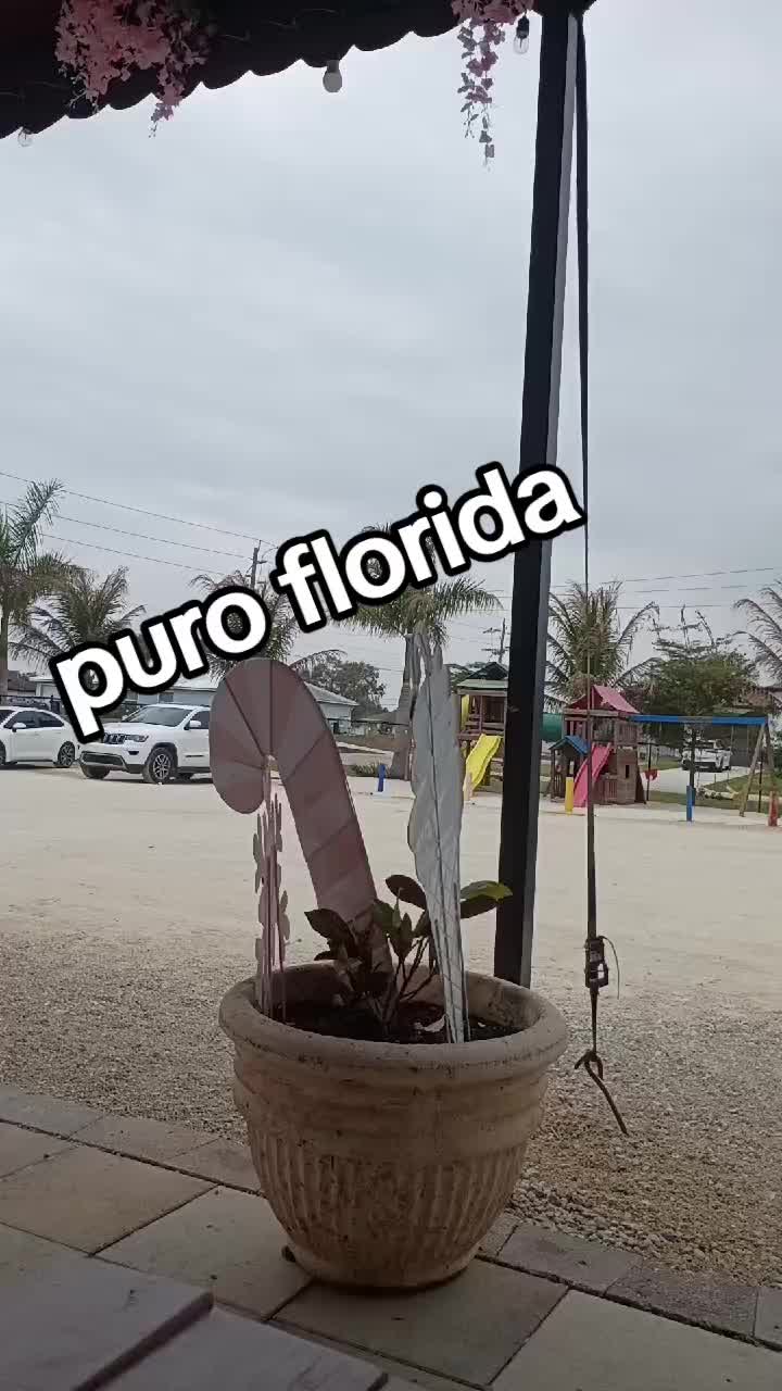 @Neto  GT 502 🇬🇹🇬🇹