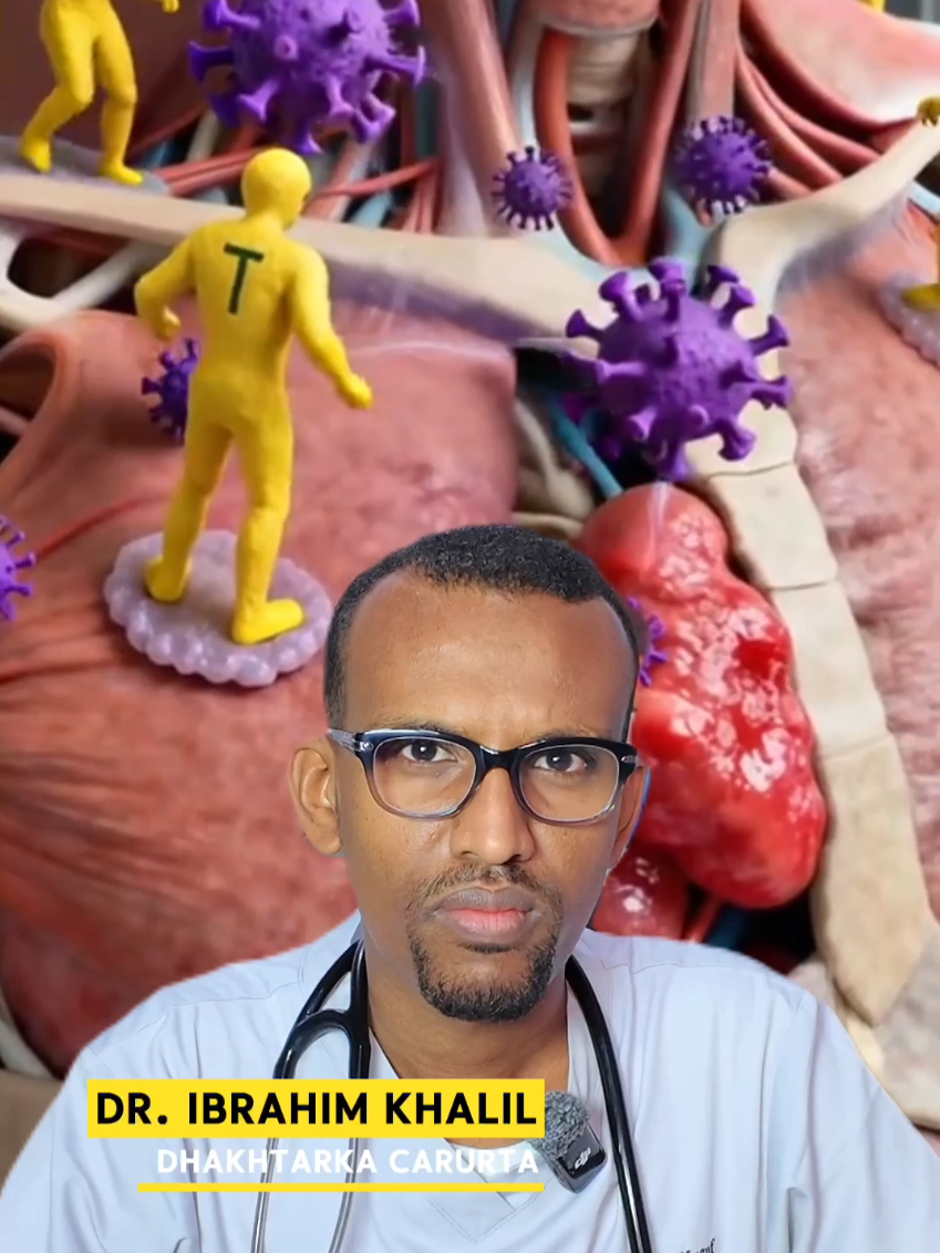 @Dr Ibrahim Khaliil