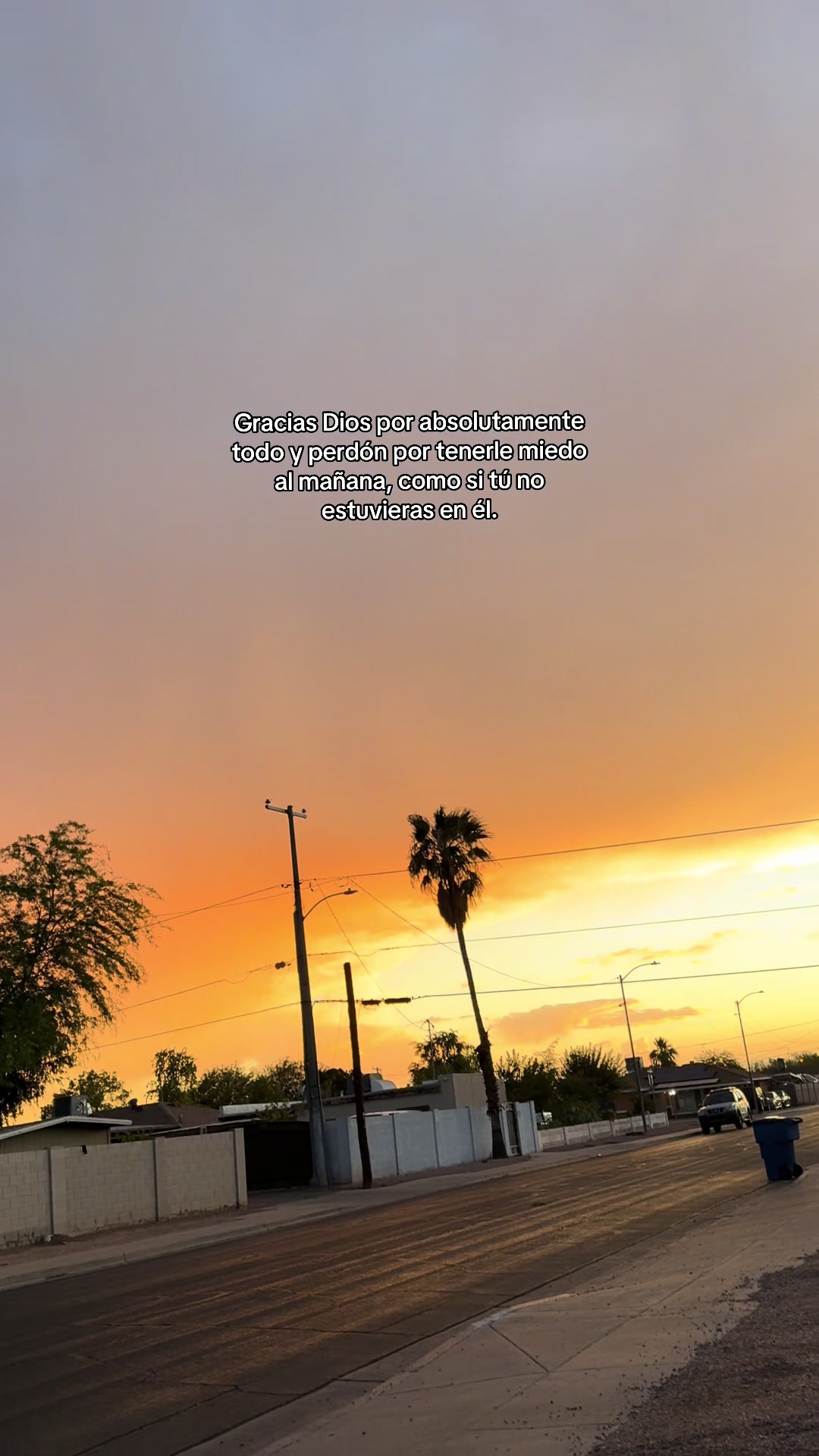 @•𝚈𝚊𝚜𝚖𝚒𝚗