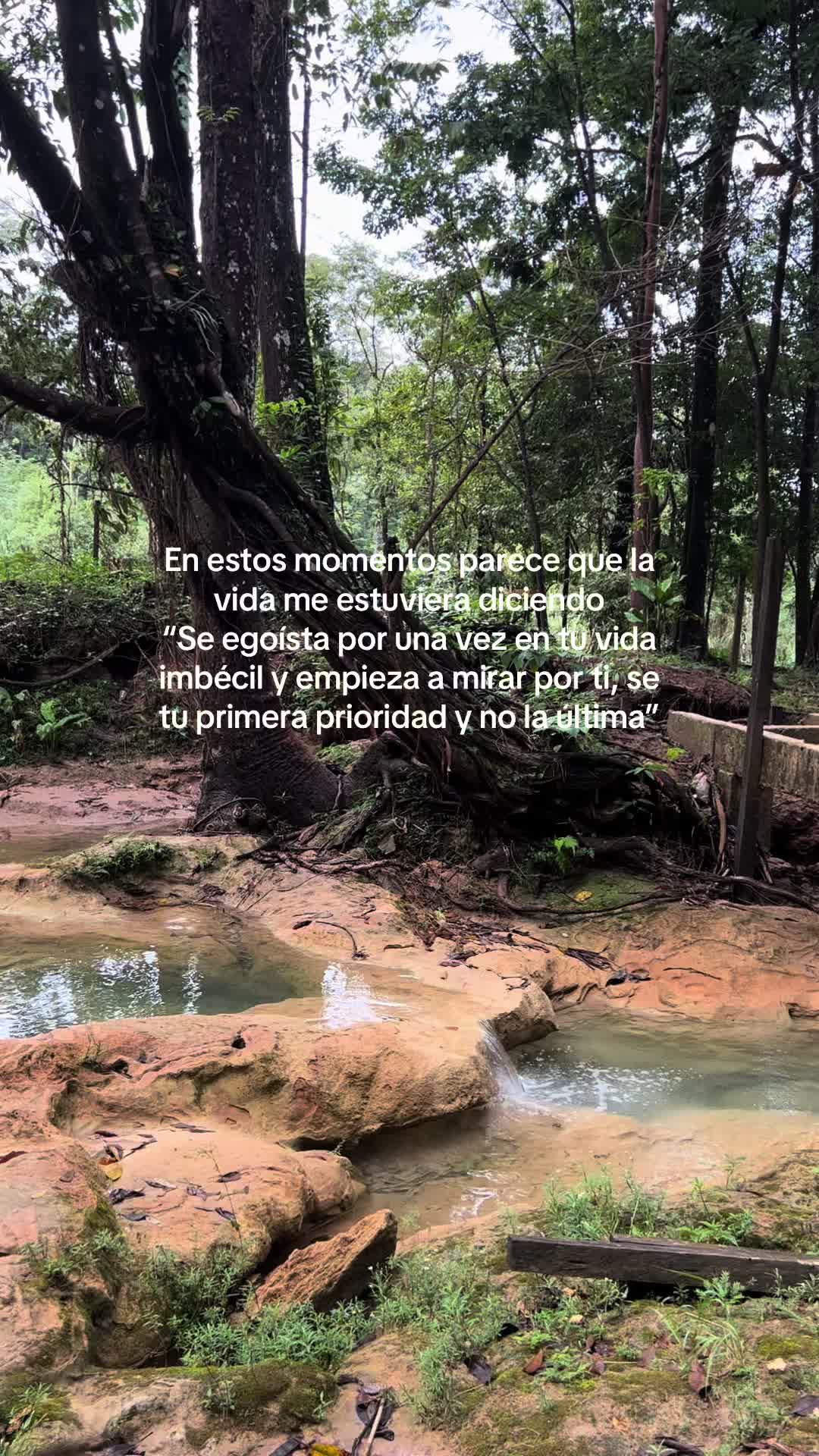 @&bull;𝑱𝒂𝒛𝒎𝒊𝒏 𝑮𝒓𝒂𝒋𝒆𝒅𝒂&bull;
