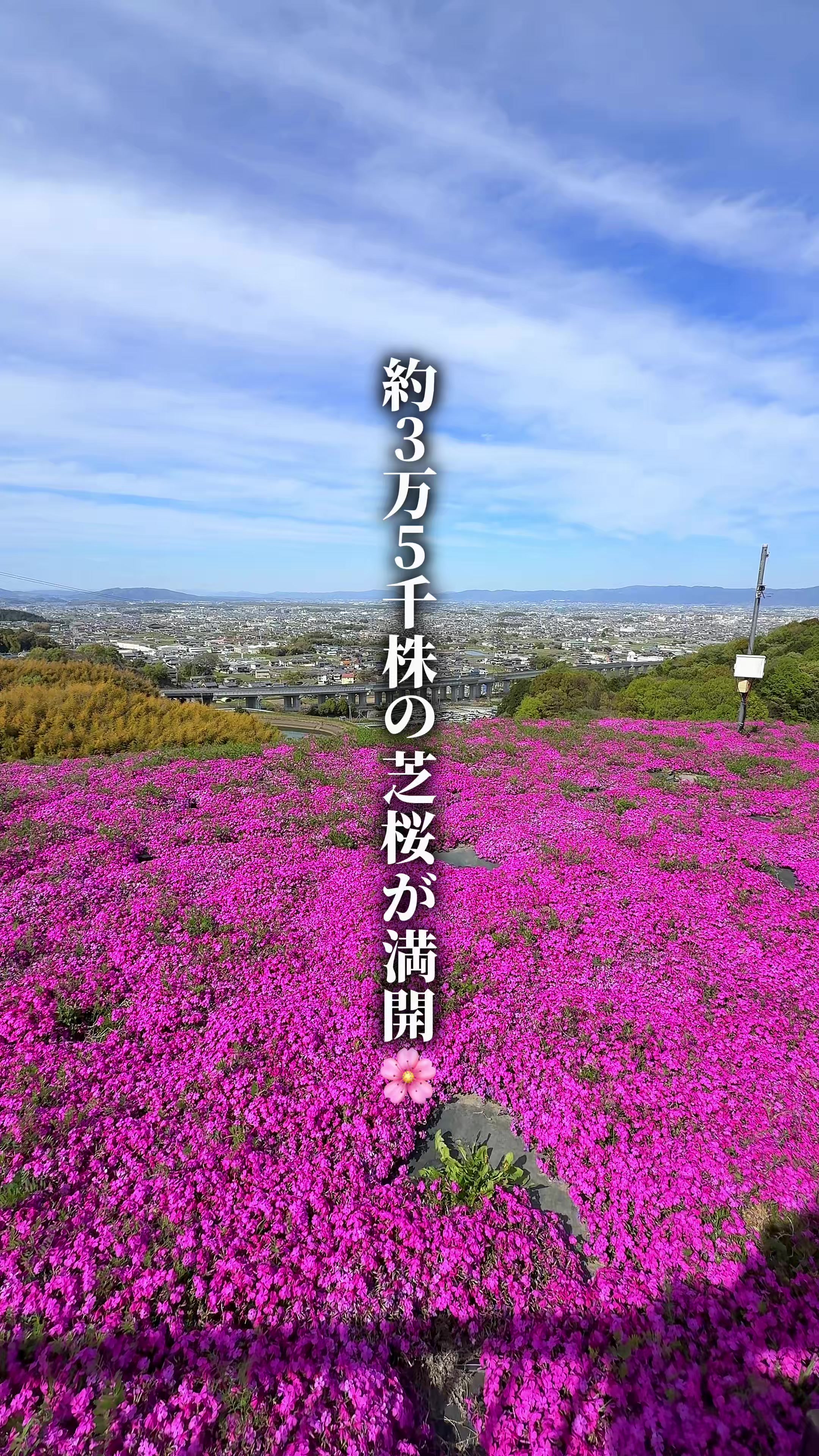 @ひろと / 大阪発！関西トレンド独占旅🔥
