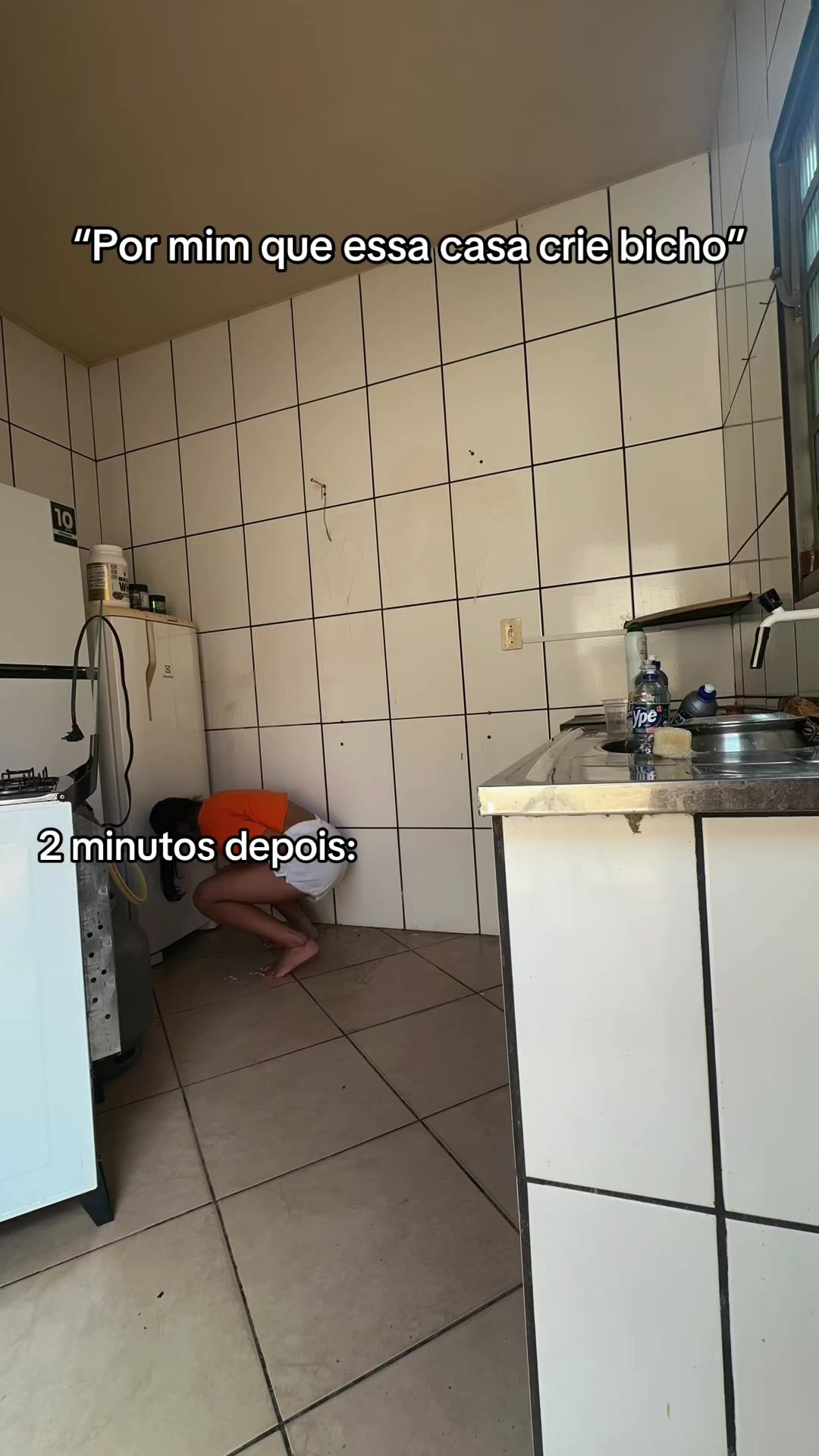 @evelinsilva