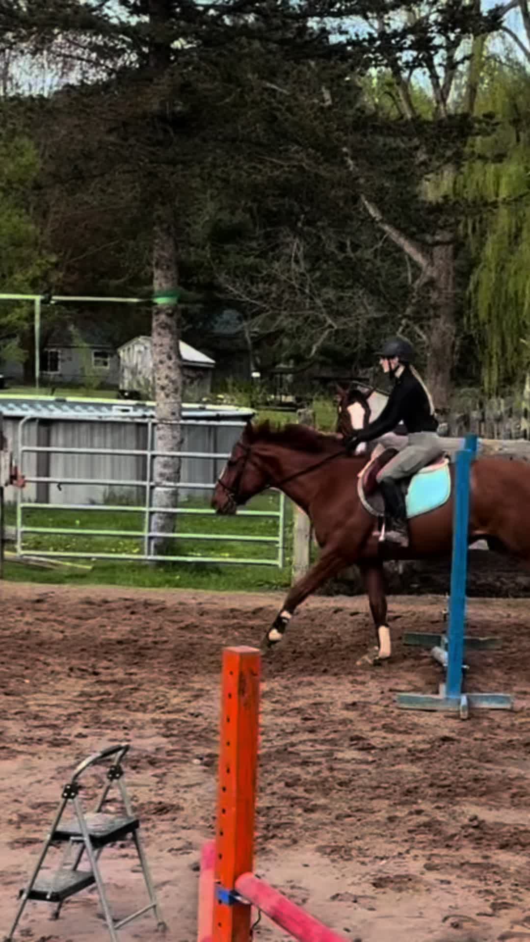 @🐎Aby 😌👌✨️