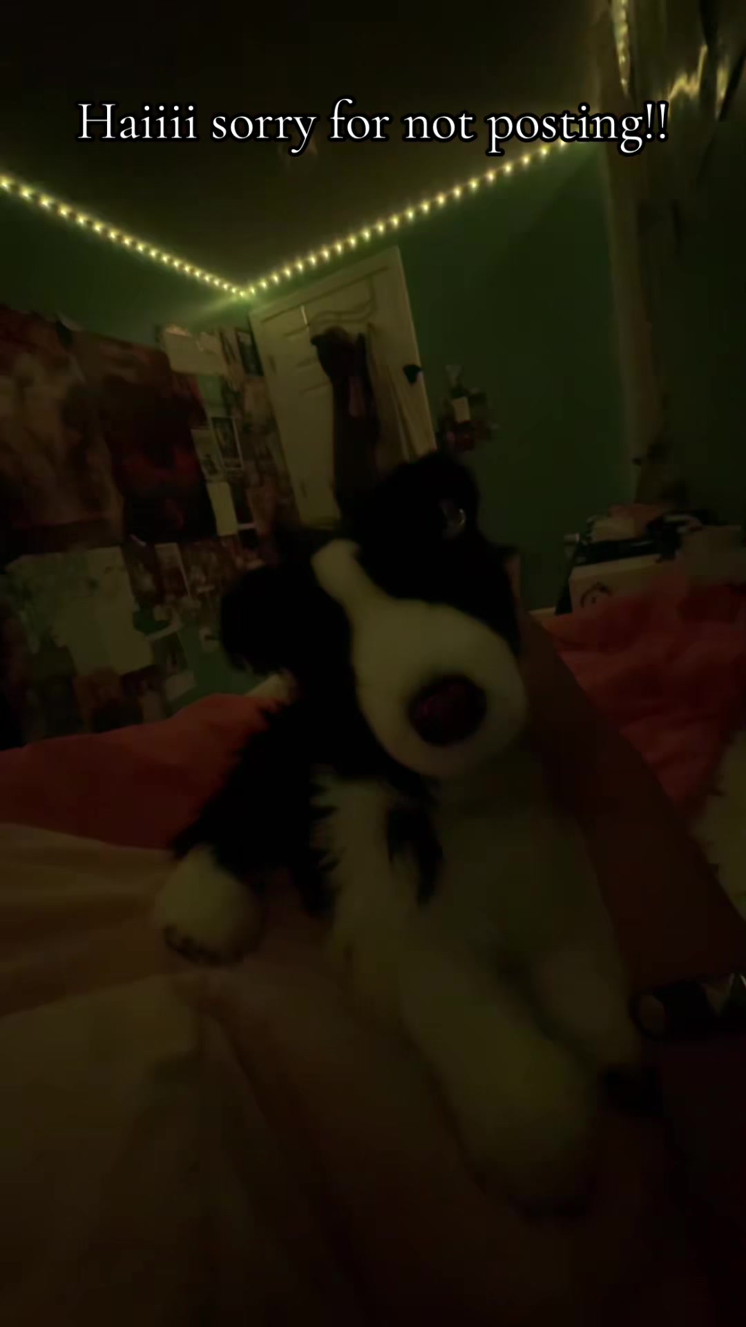 @‼️ 🐕🦺𝓸𝓹𝓪𝓵+𝓱𝓸𝓹𝓮✩🎧🎸