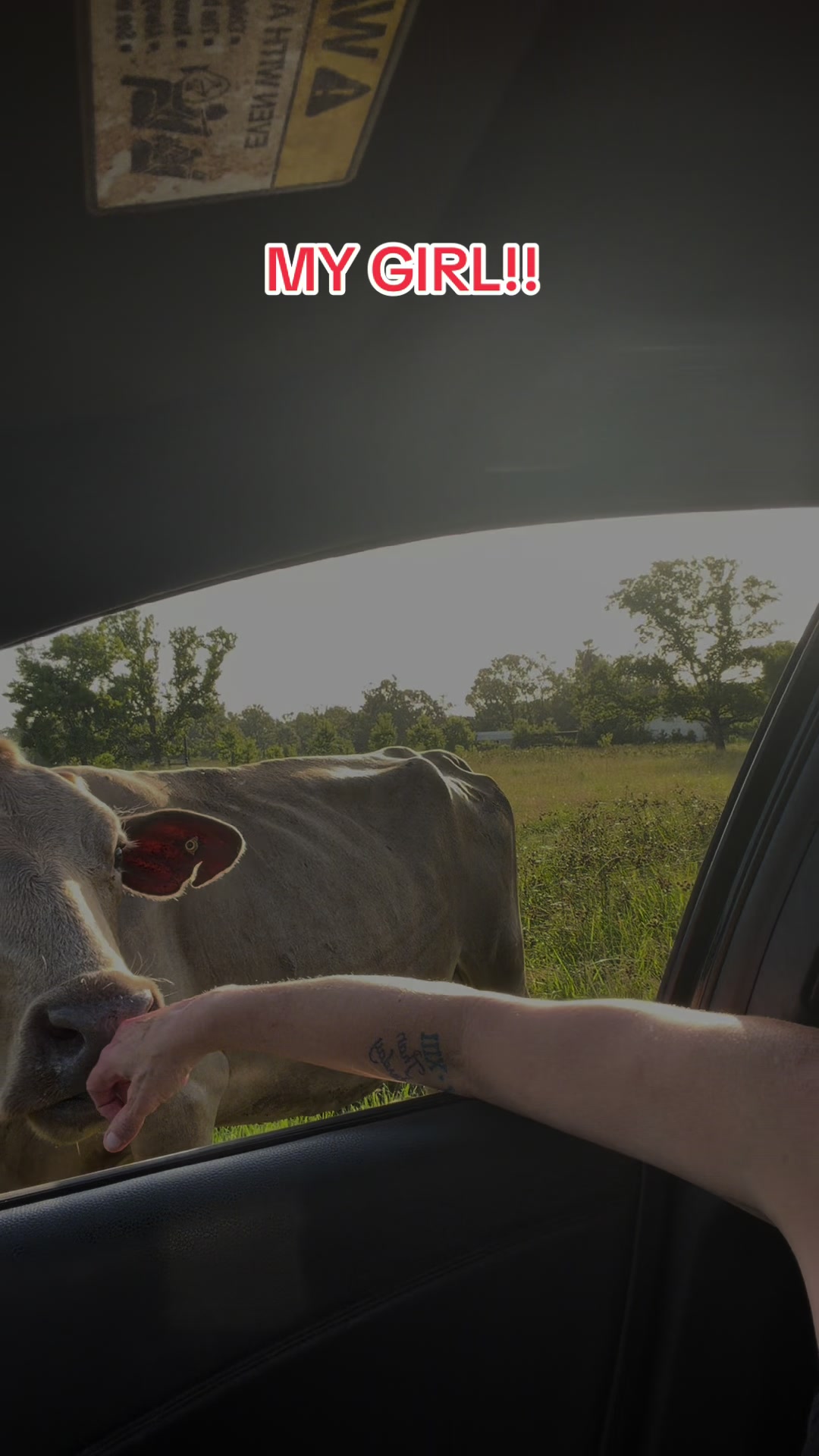 @ER/Trauma RN/Ranching/Farmlife