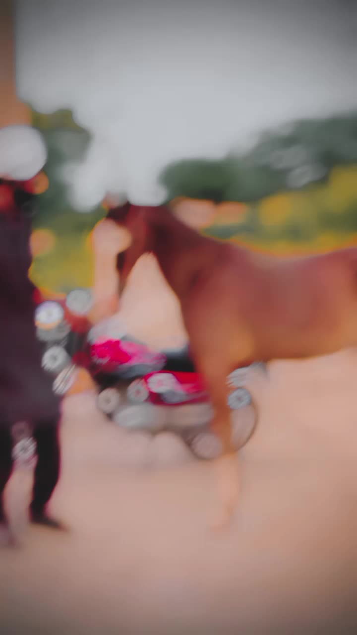 @Màlík Hàsñåt Jàïsåk❣️