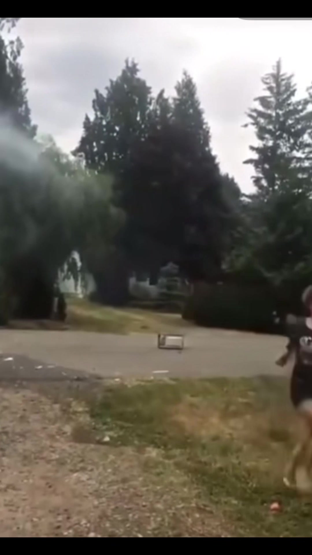 @Granddad 🔌