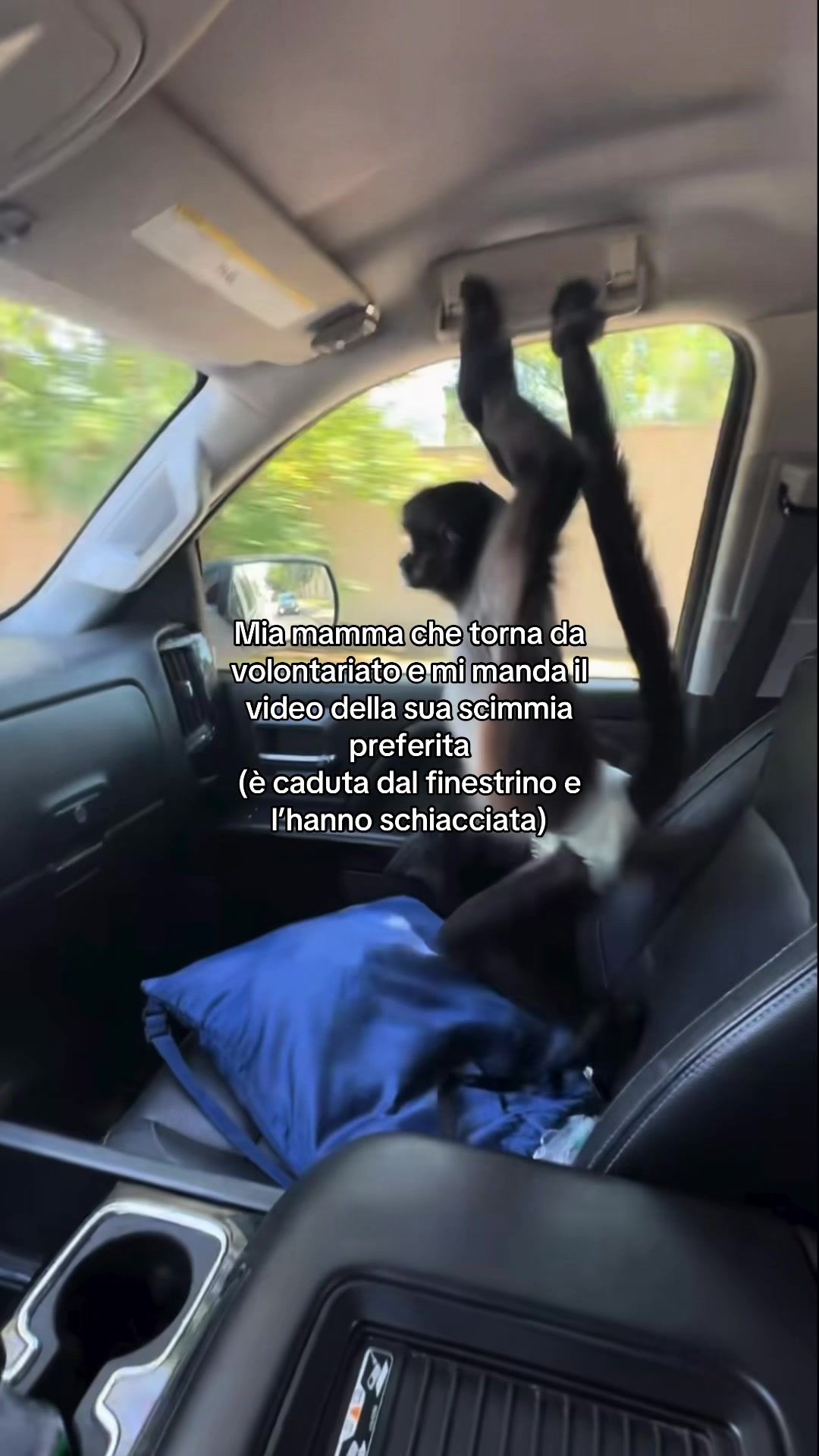 @autisticgirl