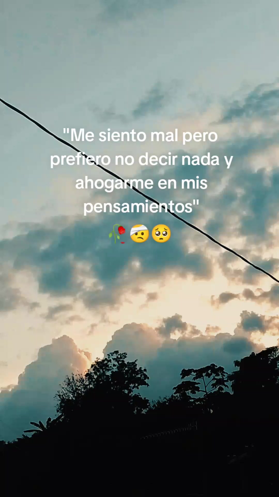 @Johana Morales