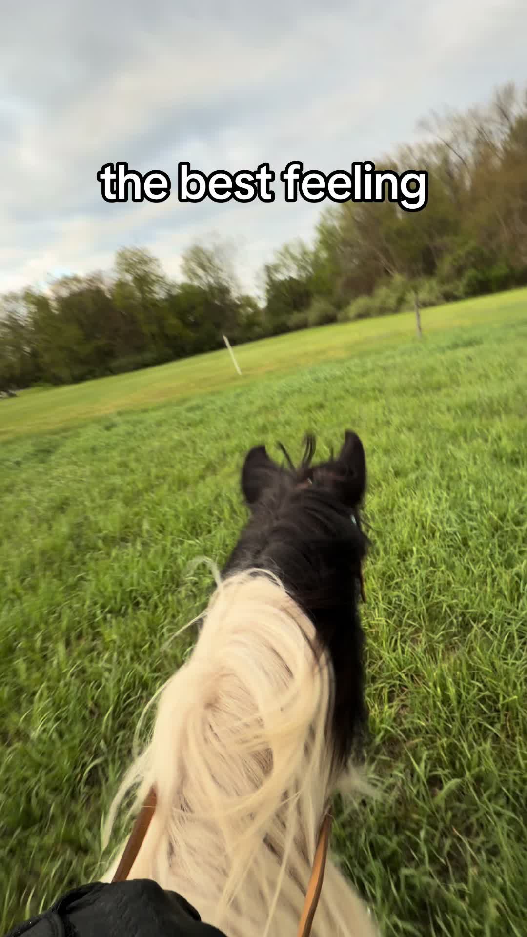 @Lorraine 🐴🩺