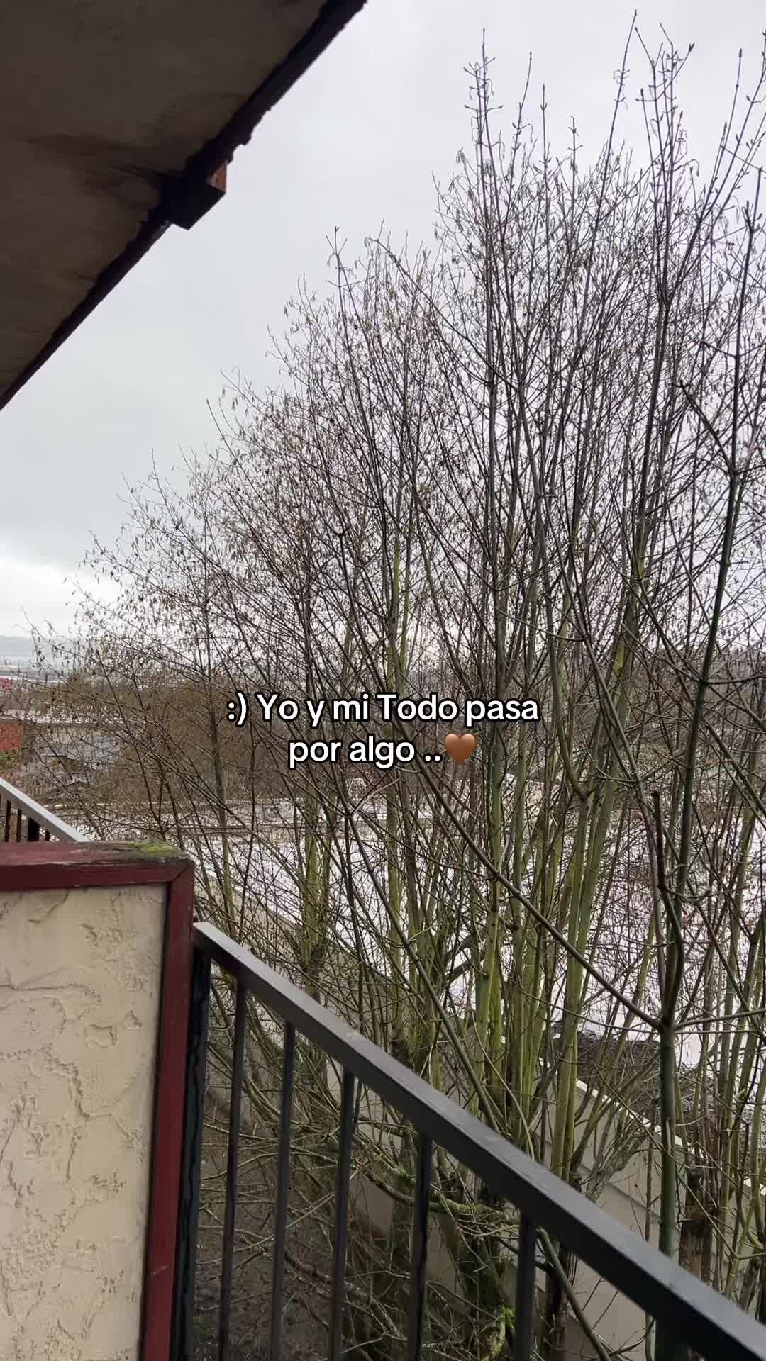 @Andy_Anaya🦋