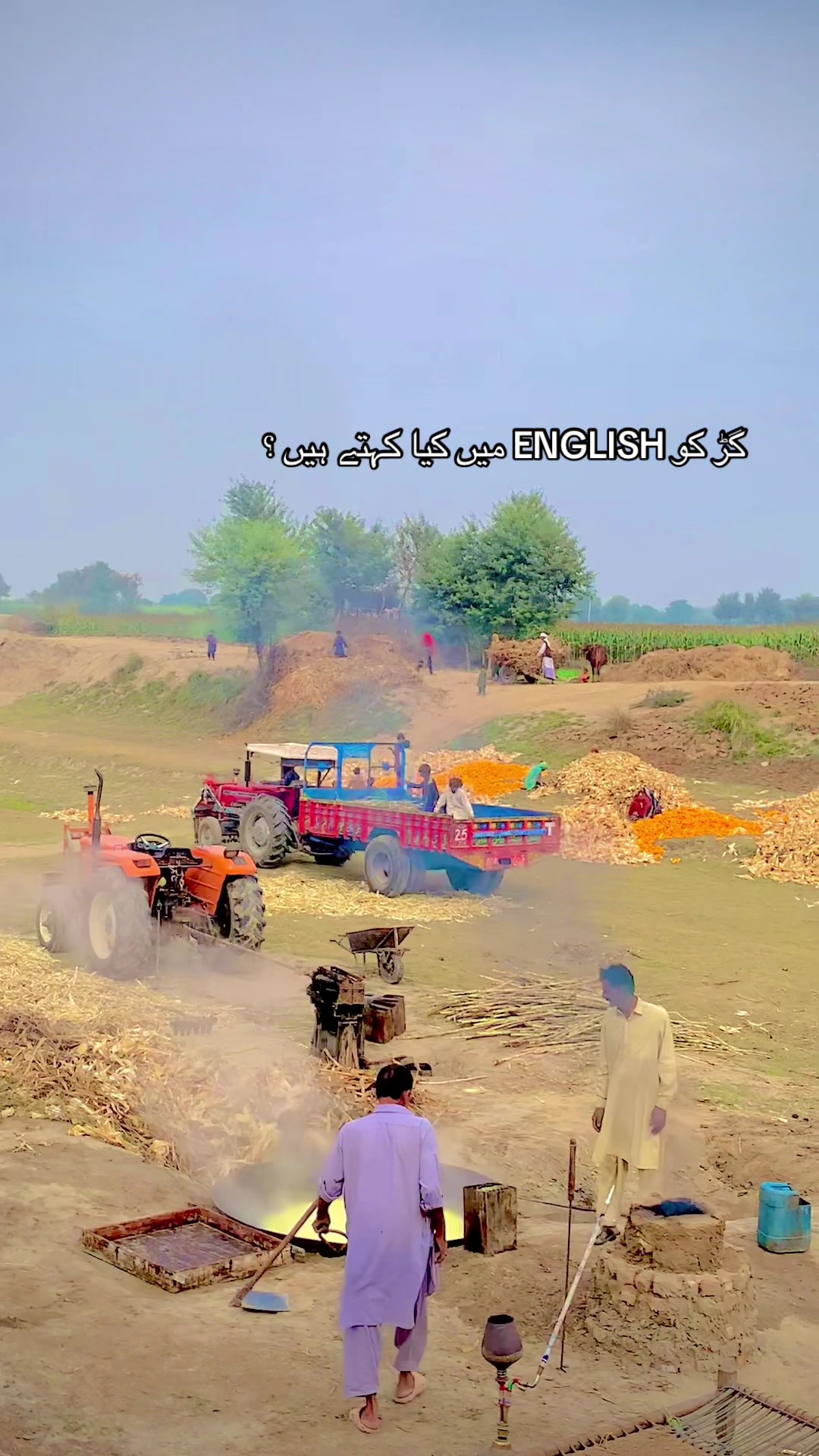 @سِپرا زرعئ اینڈ ڈیری فارم 🌾🚜