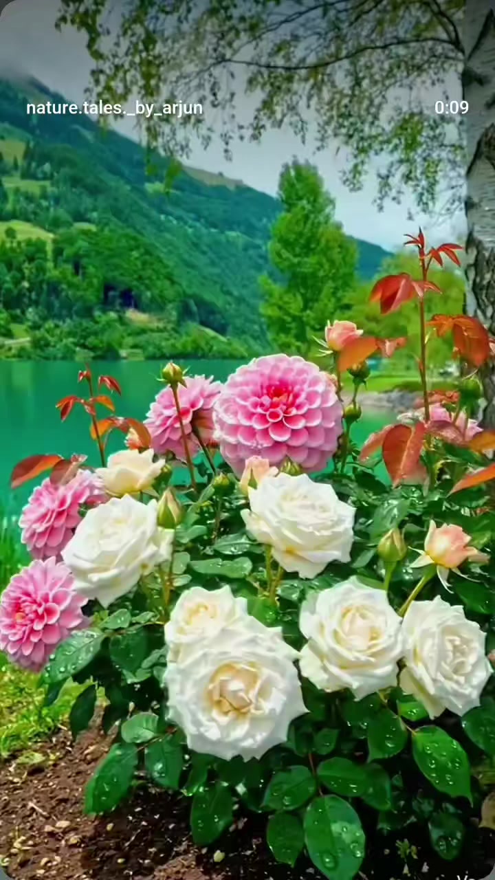 @Gamzelim