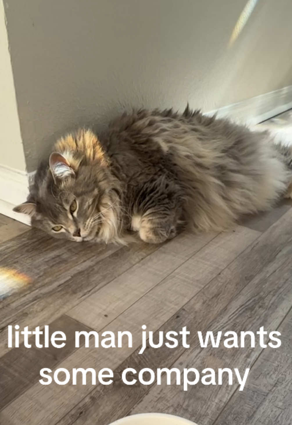 @dad