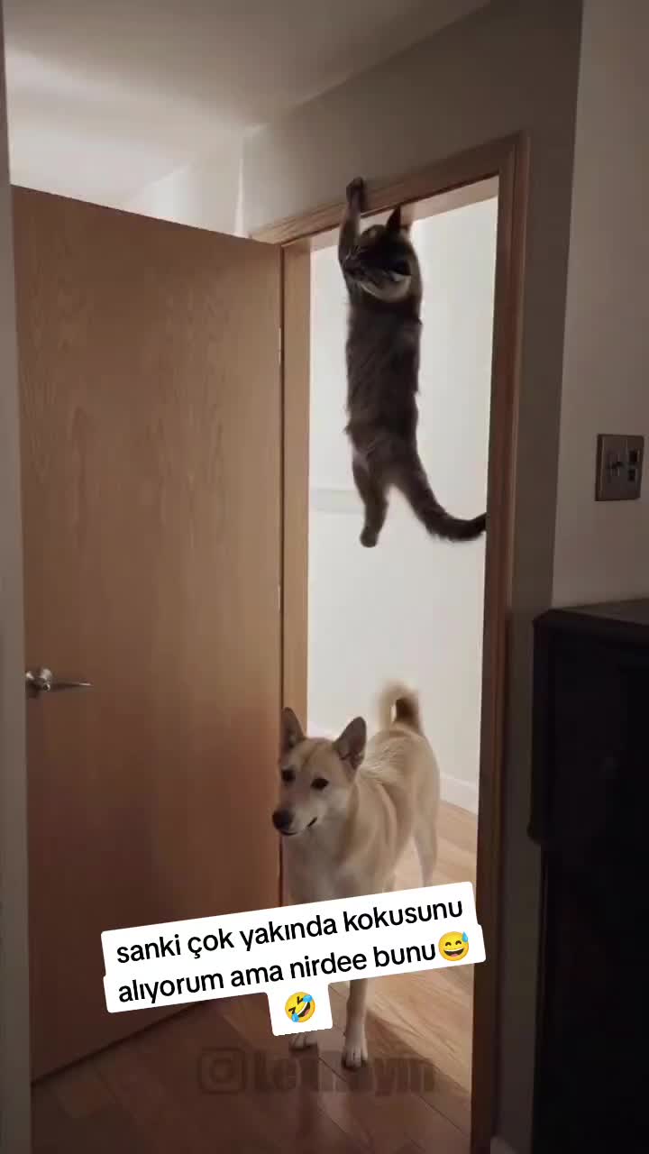 @gamzeli kızı 😊 minnoşlari