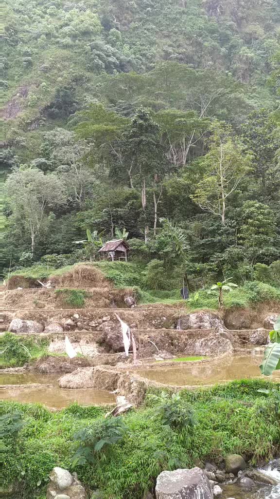 @ᮝᮤᮜ᮪ᮓᮔ᮪ ᮔᮧᮇᮁ ᮃᮜᮙ᮪