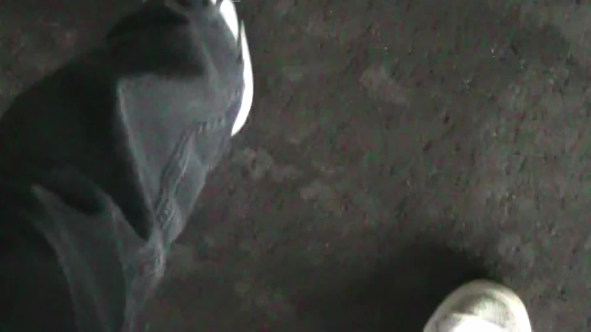 @collier🦇