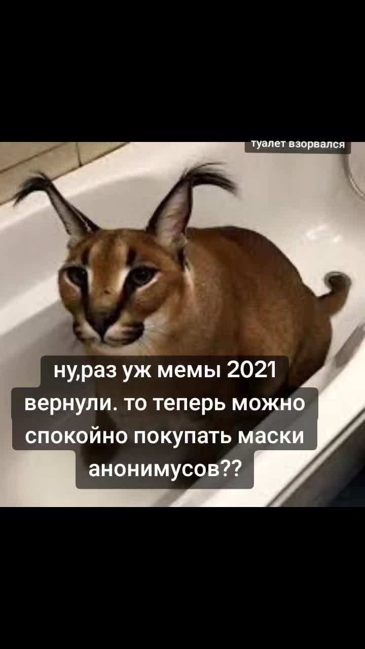 @Цу @