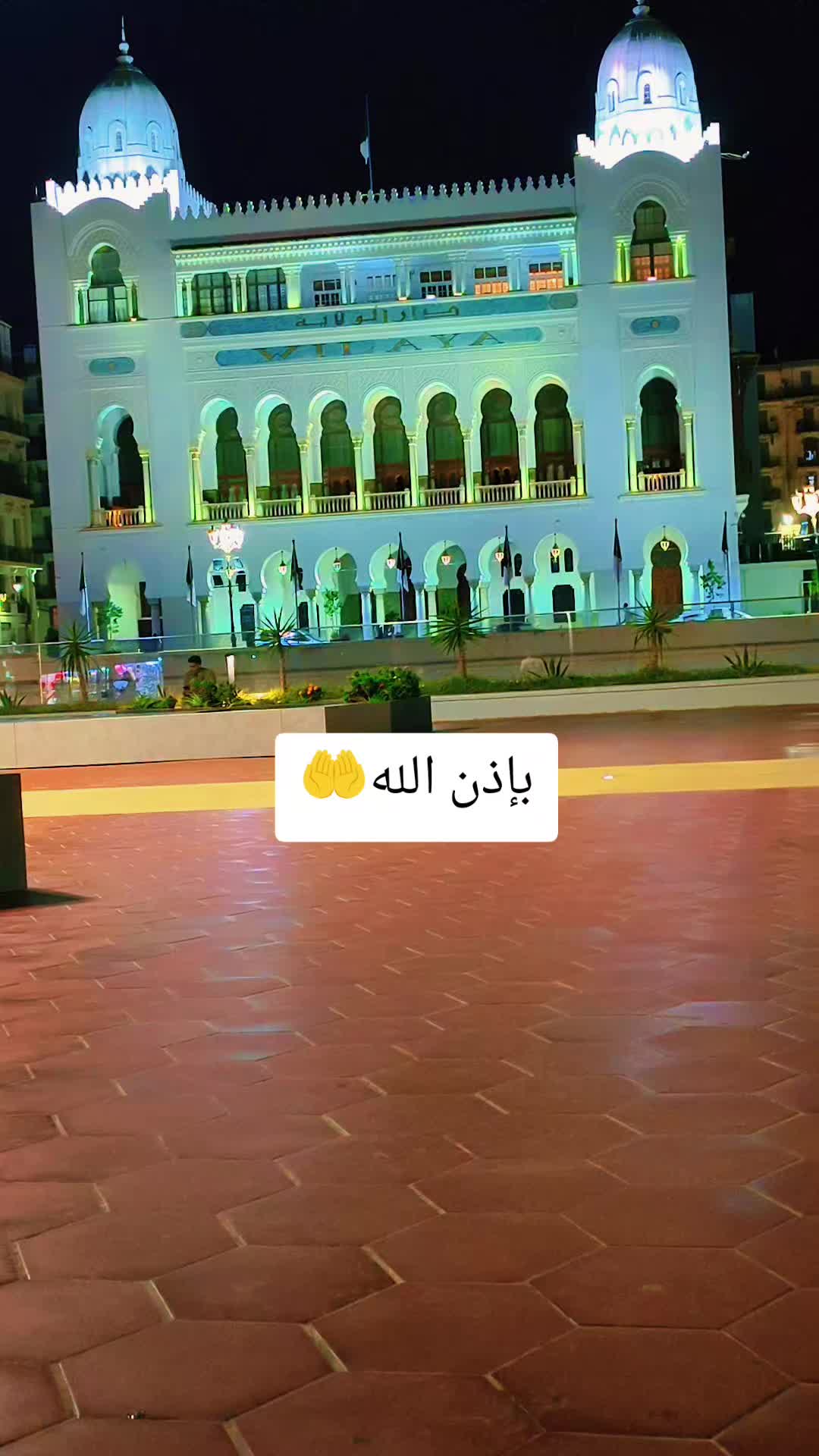 @Ayoub⚓🇩🇿🛳️⚓🌍